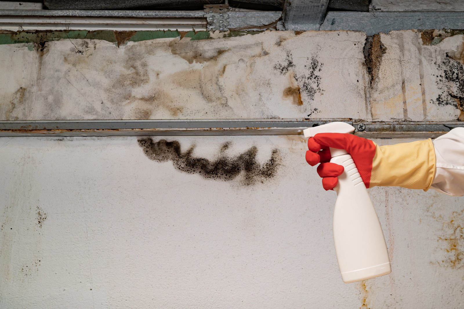 Mold remediation